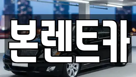 광주광역시 동구 계림동 장기렌트카 전문 본렌트카