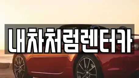 대구 동구 서호동 렌트카 전문 내차처럼렌터카