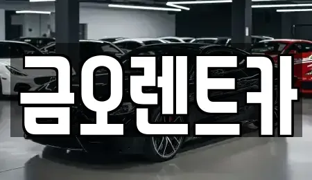 대구광역시 북구 단기렌트카 전문 금오렌트카