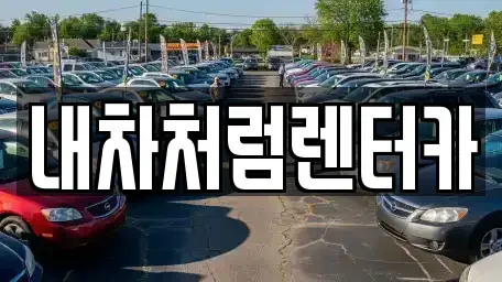 대구광역시 북구 조야동 렌트카 전문 내차처럼렌터카