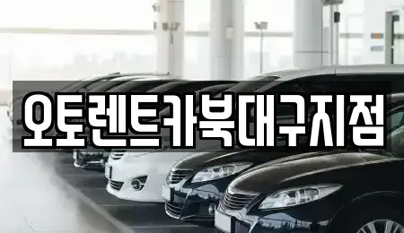 대구광역시 북구 조야동 렌트카 전문 오토렌트카북대구지점