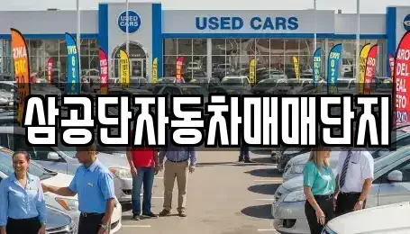 대구광역시 북구 조야동 중고차 전문 삼공단자동차매매단지