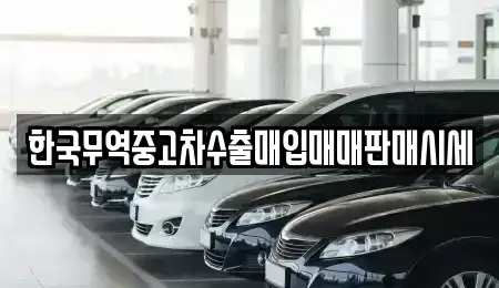 대구광역시 북구 조야동 중고차매입 전문 한국무역중고차수출매입매매판매시세