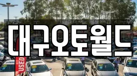 대구광역시 북구 중고차 전문 대구오토월드