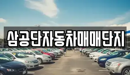 대구광역시 북구 중고차 전문 삼공단자동차매매단지