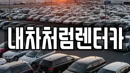 대구광역시 중구 공평동 렌트카 전문 내차처럼렌터카
