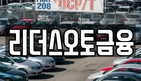 대구광역시 중구 공평동 장기렌트카 전문 리더스오토금융