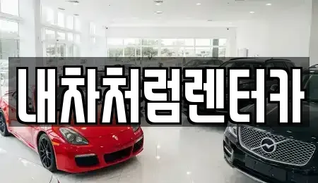 대구광역시 중구 삼덕동1가 렌트카 전문 내차처럼렌터카