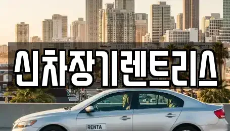 대구광역시 중구 삼덕동1가 렌트카 전문 신차장기렌트리스