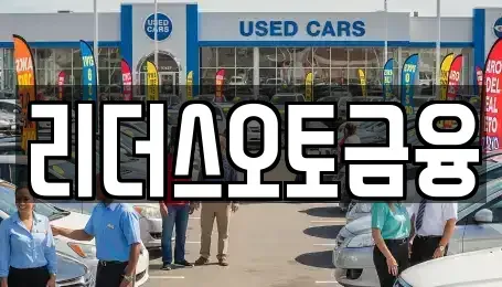 대구광역시 중구 삼덕동1가 장기렌트카 전문 리더스오토금융