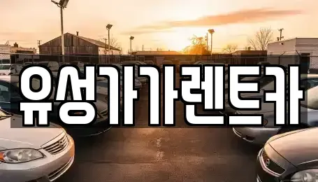대전 유성구 외삼동 렌트카 전문 유성가가렌트카