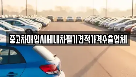 대전 유성구 외삼동 중고차매입 전문 중고차매입시세내차팔기견적가격수출업체