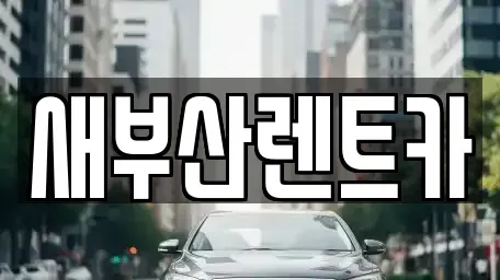 부산 영도구 대교동1가 렌트카 전문 새부산렌트카