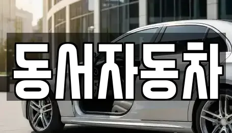 부산 영도구 대교동1가 중고차매매 전문 동서자동차