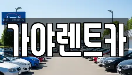 부산광역시 강서구 죽동동 렌트카,단기렌트카,장기렌트카,중고차,중고차매매,중고차매입