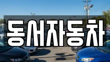 부산광역시 강서구 죽동동 중고차 전문 동서자동차