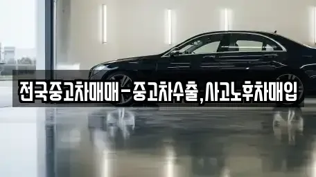 부산광역시 강서구 죽동동 중고차 전문 전국중고차매매-중고차수출,사고노후차매입