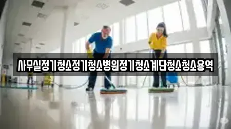 사무실정기청소정기청소병원정기청소계단청소청소용역