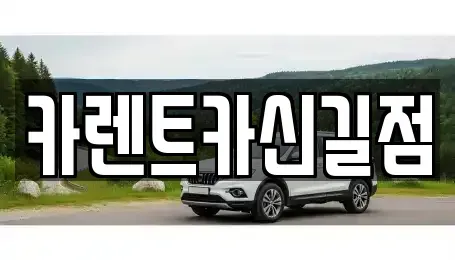 서울 영등포구 영등포동1가 렌트카 전문 카렌트카신길점