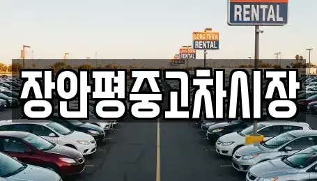 서울 영등포구 영등포동1가 중고차 전문 장안평중고차시장