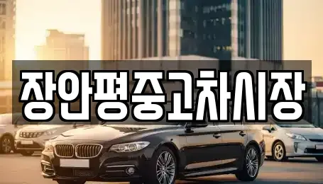 서울 용산구 한강로3가 중고차매매 전문 장안평중고차시장