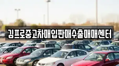 서울 용산구 한강로3가 중고차매입 전문 김프로중고차매입판매수출매매센터