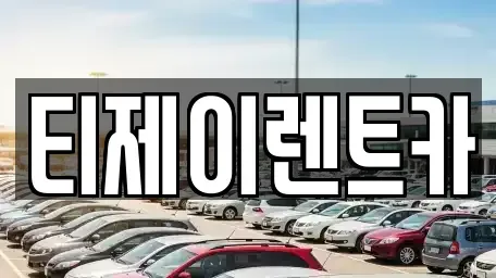 서울특별시 마포구 신수동 렌트카,단기렌트카,장기렌트카,중고차,중고차매매,중고차매입