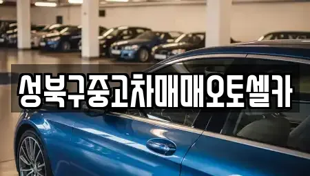 서울특별시 성북구 보문동6가 중고차매매 전문 성북구중고차매매오토셀카