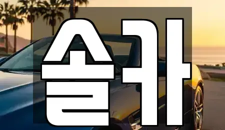 서울특별시 성북구 보문동6가 중고차매매 전문 솔카