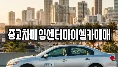 서울특별시 성북구 보문동6가 중고차매입 전문 중고차매입센터마이셀카매매