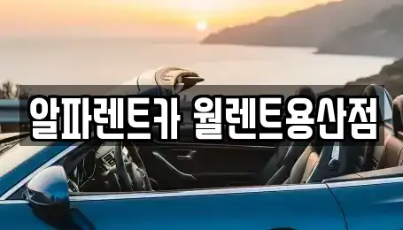 서울특별시 용산구 원효로3가 렌트카 전문 알파렌트카 월렌트용산점