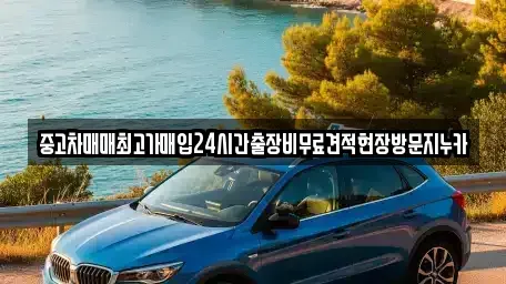 서울특별시 용산구 효창동 중고차매입 전문 중고차매매최고가매입24시간출장비무료견적현장방문지누카