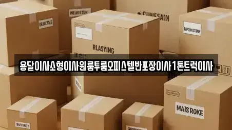 용달이사소형이사원룸투룸오피스텔반포장이사1톤트럭이사