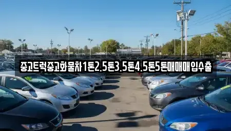 인천 중구 신흥동2가 중고차매매 전문 중고트럭중고화물차1톤2.5톤3.5톤4.5톤5톤매매매입수출