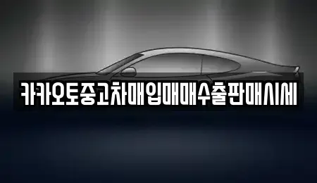 인천 중구 신흥동2가 중고차매입 전문 카카오토중고차매입매매수출판매시세