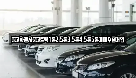 전남 무안군 망운면 장기렌트카,중고차,렌트카,단기렌트카,중고차매입,중고차매매