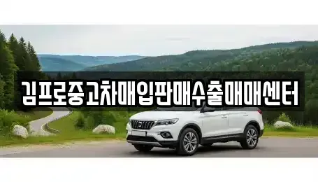 전남 신안군 압해읍 중고차 전문 김프로중고차매입판매수출매매센터
