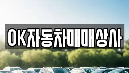 전남 여수시 신월동 중고차 전문 OK자동차매매상사