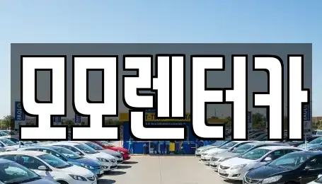 전라남도 여수시 화정면 렌트카 전문 모모렌터카