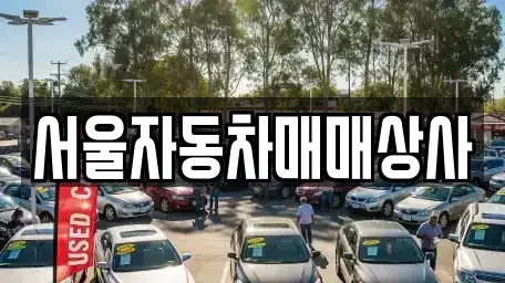 전북특별자치도 완주군 중고차 전문 서울자동차매매상사