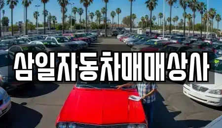 제주 서귀포시 법환동 중고차 전문 삼일자동차매매상사