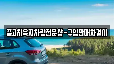 제주특별자치도 서귀포시 남원읍 중고차 전문 중고차육지차량전문샵-구입판매차결사