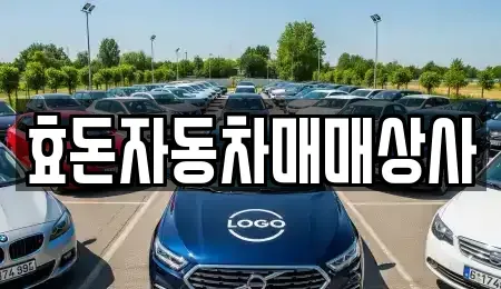 제주특별자치도 서귀포시 남원읍 중고차 전문 효돈자동차매매상사