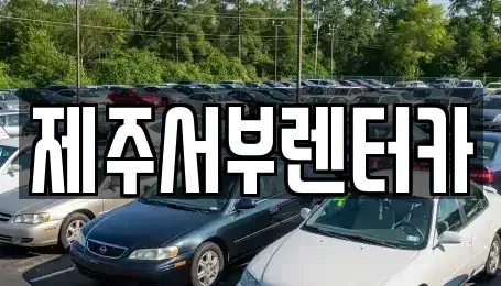 제주특별자치도 서귀포시 대포동 렌트카 전문 제주서부렌터카