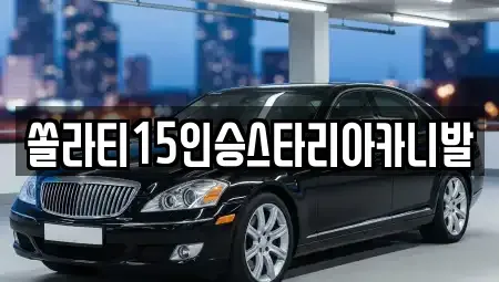 충청북도 제천시 서부동 렌트카 전문 쏠라티15인승스타리아카니발