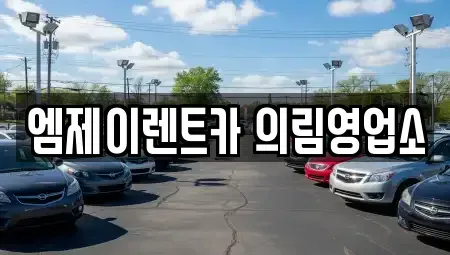 충청북도 제천시 서부동 렌트카 전문 엠제이렌트카 의림영업소