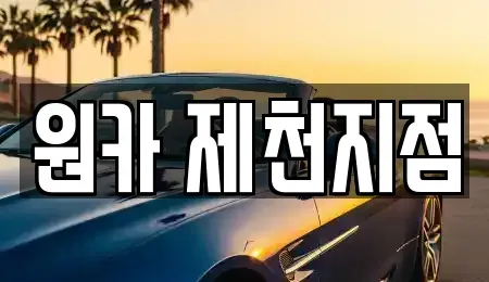 충청북도 제천시 서부동 렌트카 전문 원카 제천지점