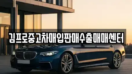 충청북도 제천시 서부동 중고차매입 전문 김프로중고차매입판매수출매매센터